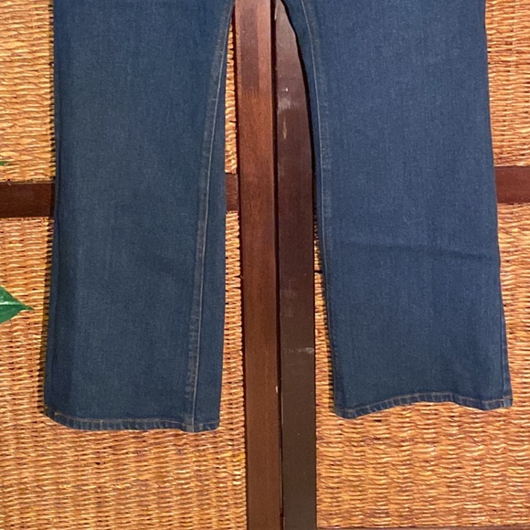 Jerry Lewis 18W zip up blue jeans with elastic back waist. - Picture 3 of 6